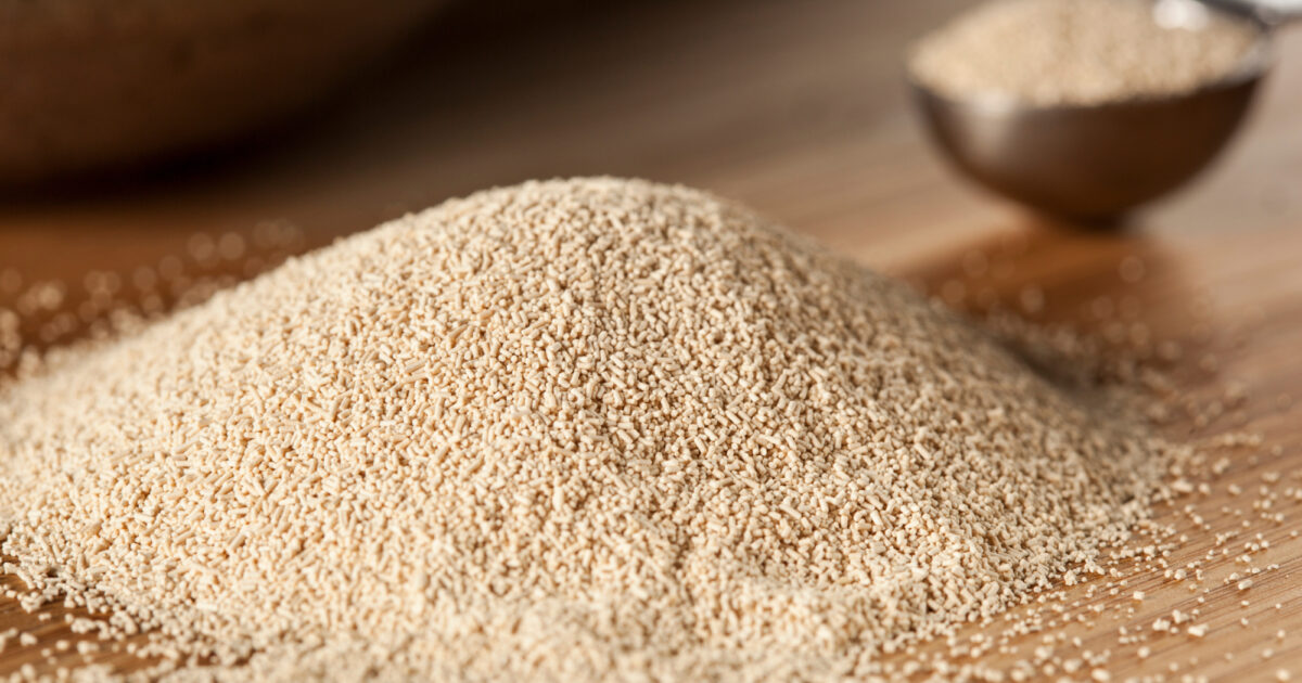 Yiest Image Yeast Management | Paul Mueller Company